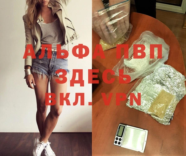 сатива Алексин