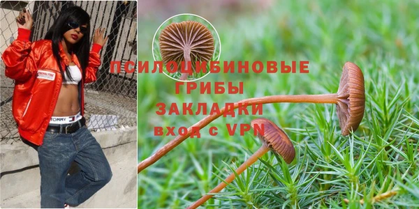 сатива Алексин