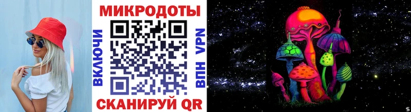 Псилоцибиновые грибы Psilocybe  где найти наркотики  Наволоки 